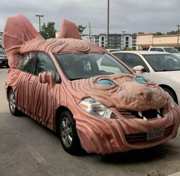 Daily Picdump