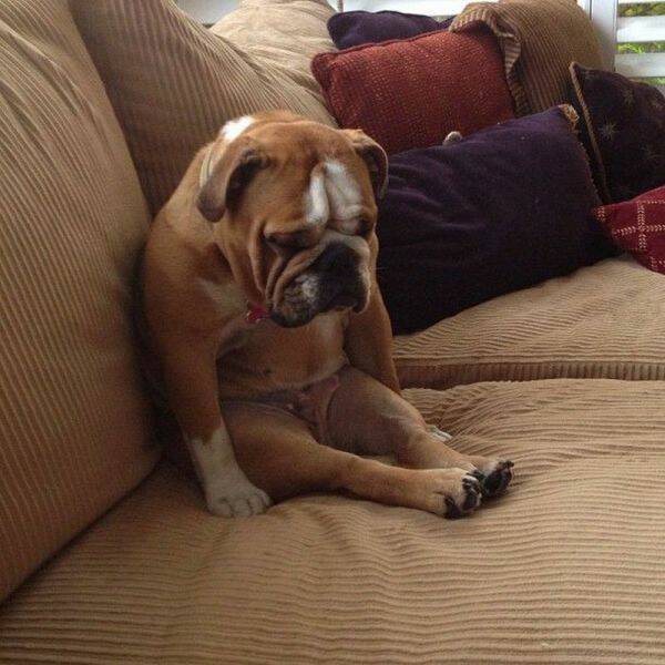Daily Picdump
