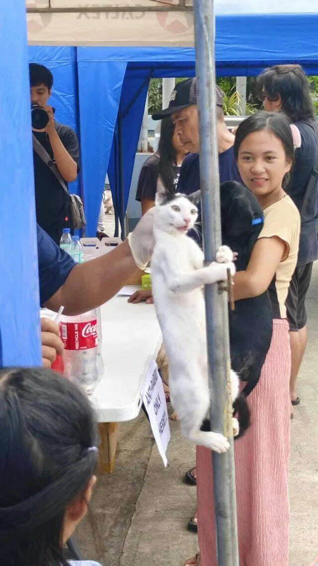 Daily Picdump