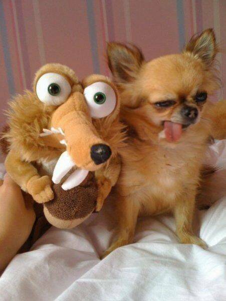 Daily Picdump