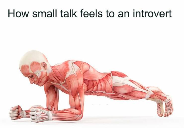 Perfectly Relatable Memes For Every Introvert