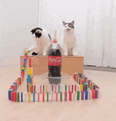 Daily Gifdump