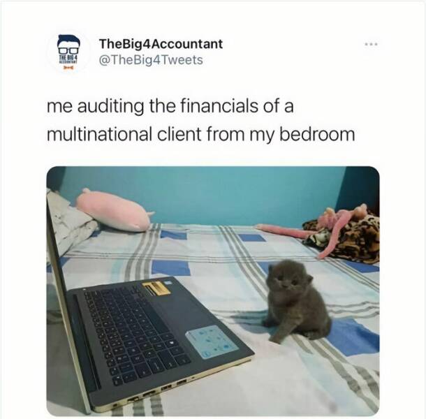 Memes For Every Accountant