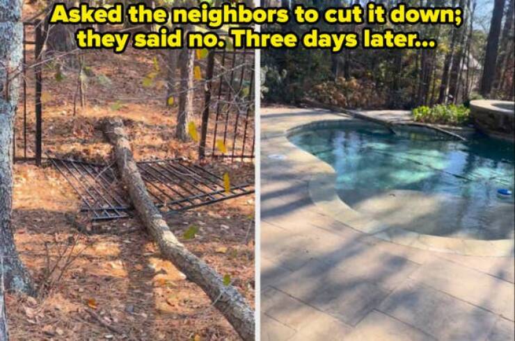 Nightmare Neighbors Who Took Things Way Too Far
