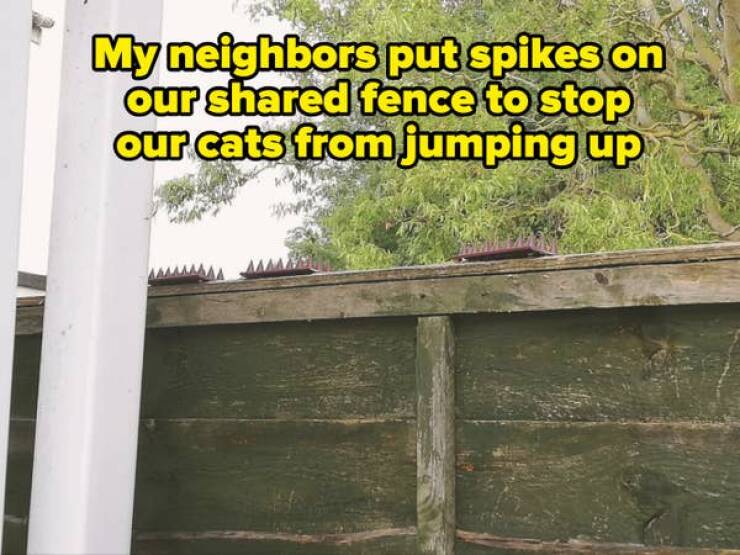 Nightmare Neighbors Who Took Things Way Too Far