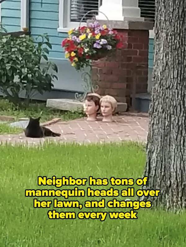 Nightmare Neighbors Who Took Things Way Too Far