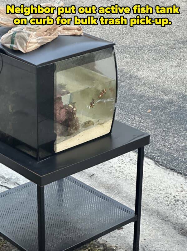 Nightmare Neighbors Who Took Things Way Too Far