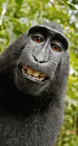 Daily Gifdump Daily Gifdump