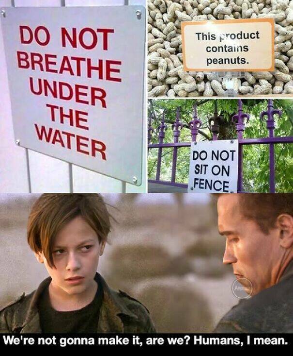 Ridiculous Yet Genius Signs You Can’t Ignore