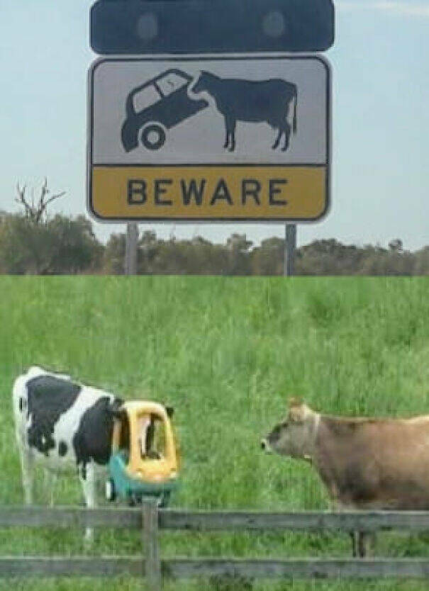 Ridiculous Yet Genius Signs You Can’t Ignore