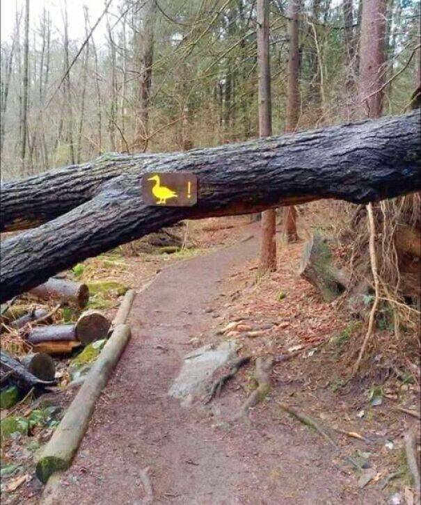 Ridiculous Yet Genius Signs You Can’t Ignore