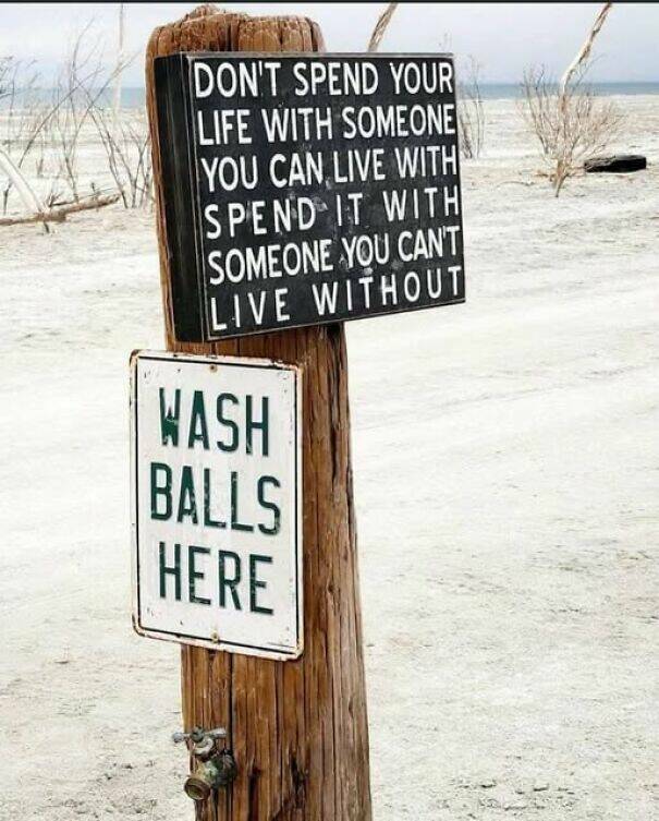 Ridiculous Yet Genius Signs You Can’t Ignore