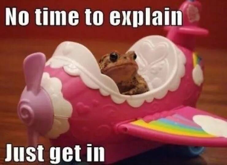 Toadally Funny