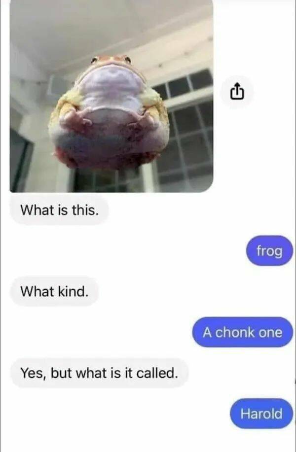 Toadally Funny