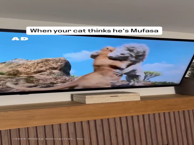 The Real Mufasa!