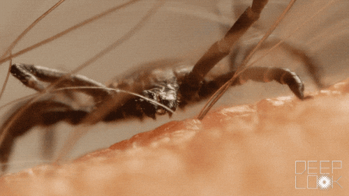 Terrifying Photo Stories That Will Keep You Up At Night