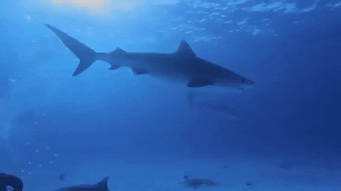 Terrifying Photo Stories That Will Keep You Up At Night