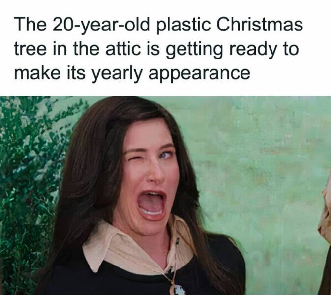 Santa-Approved Memes To Spread Christmas Cheer