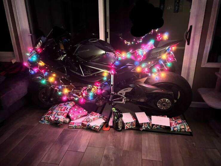 Hilarious Christmas Photos That Spread Cheer