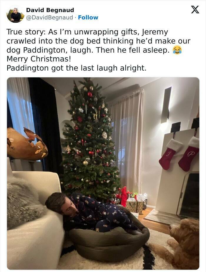 Hilarious Christmas Photos That Spread Cheer