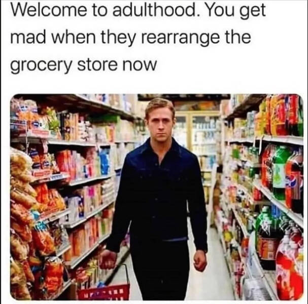 Surviving Adulthood One Meme At A Time