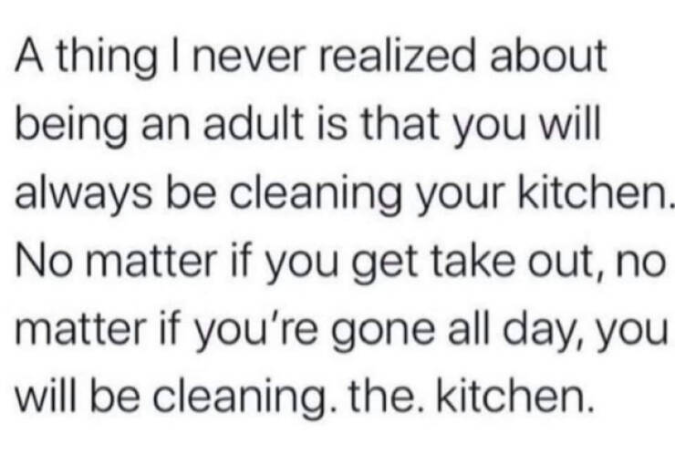 Surviving Adulthood One Meme At A Time