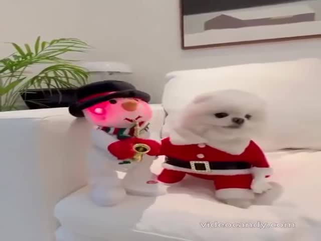 The Best Santa