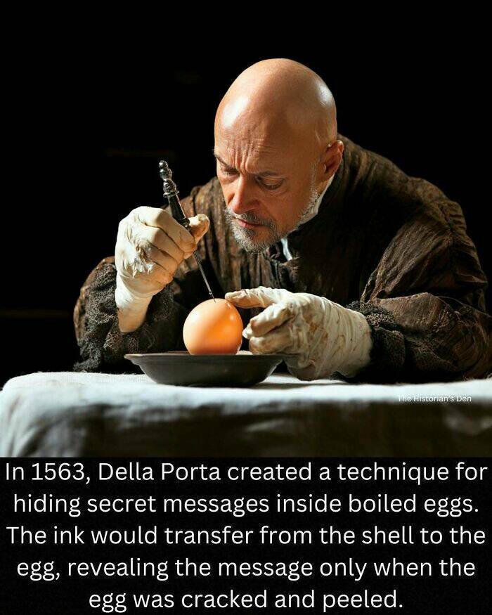 Fascinating Historical Stories You May Not Know
