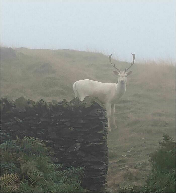 Moments That Capture The UK’s Unique Charm