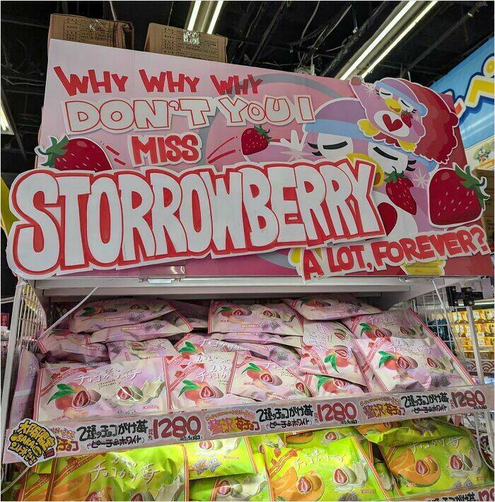 Funny Translation Fails From Japan