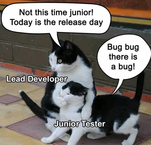 Memes To Lighten A Programmer’s Day