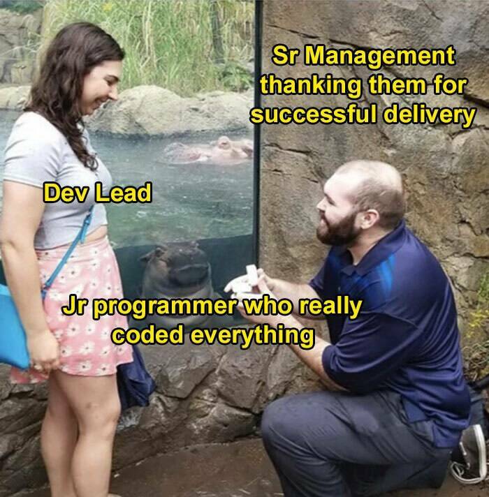 Memes To Lighten A Programmer’s Day