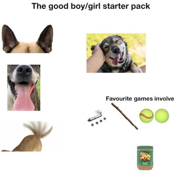 Starter Packs That Perfectly Sum Up Everyday Life