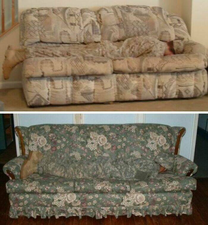 Hilarious Cases Of Accidental Camouflage