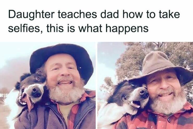 Memes That Prove Dogs Are Pure Magic