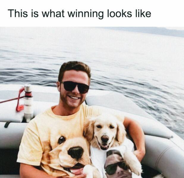 Memes That Prove Dogs Are Pure Magic