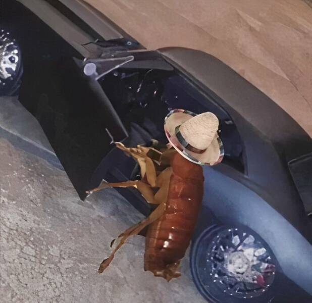 Cursed Images You Can’t Unsee