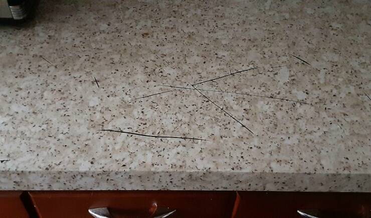 When Roommates Turn Into Nightmares