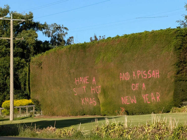 Things That Make Australia Special