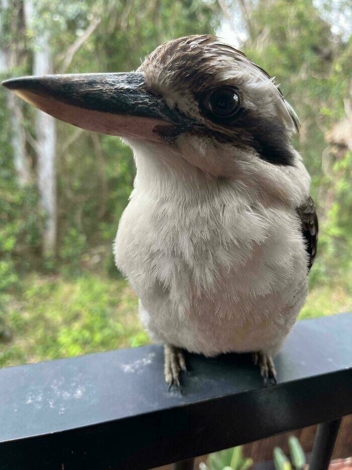 Things That Make Australia Special