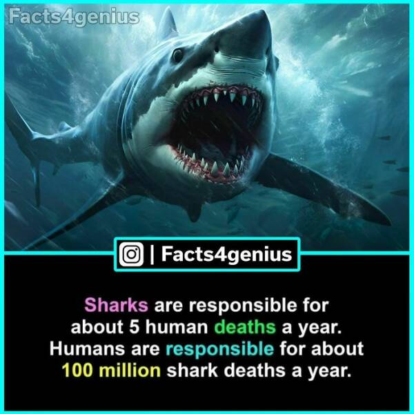 Fascinating Facts For The Curious Mind