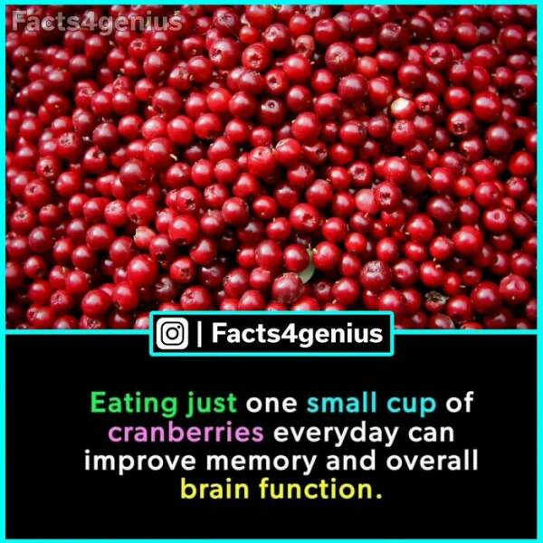 Fascinating Facts For The Curious Mind