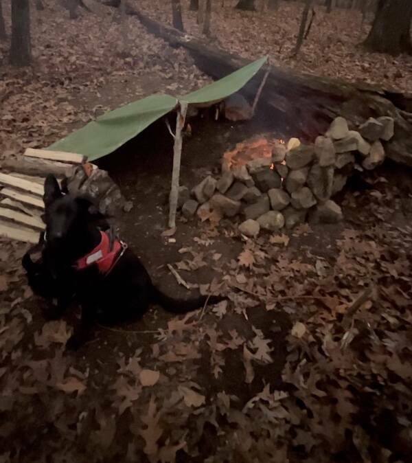 Get Back To Basics With These Stunning Bushcraft Moments