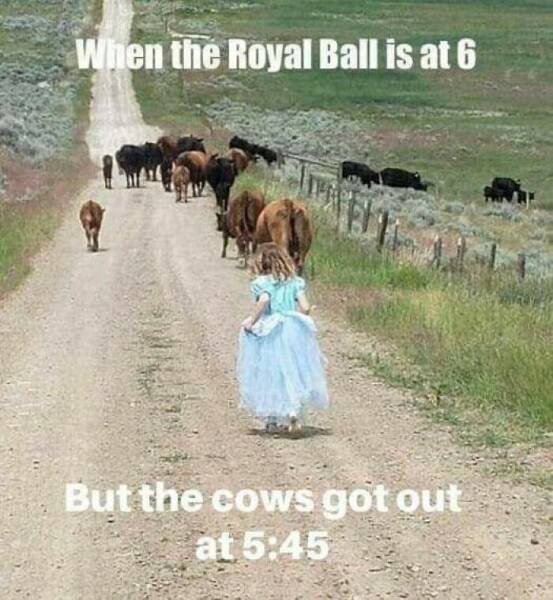 Memes That Show The Realities Of Country Life