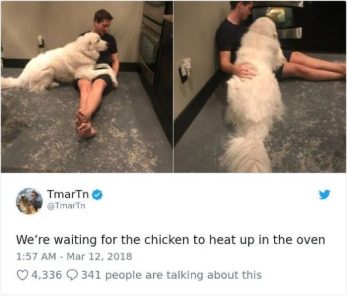 Uplifting Memes To Keep You Smiling