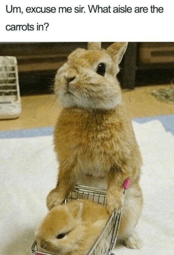 Uplifting Memes To Keep You Smiling