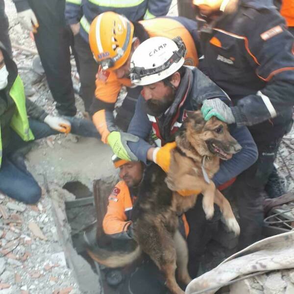 Humans And Animals Standing Strong Against Nature