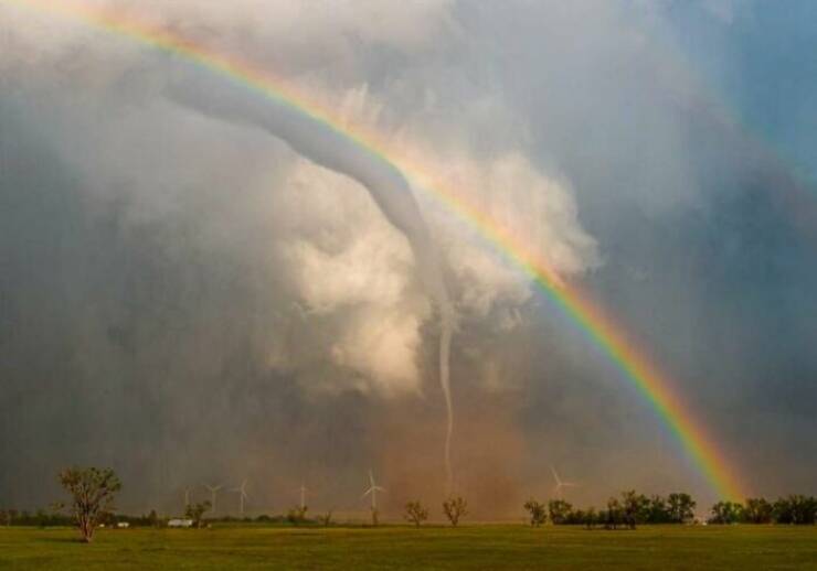 Humans And Animals Standing Strong Against Nature