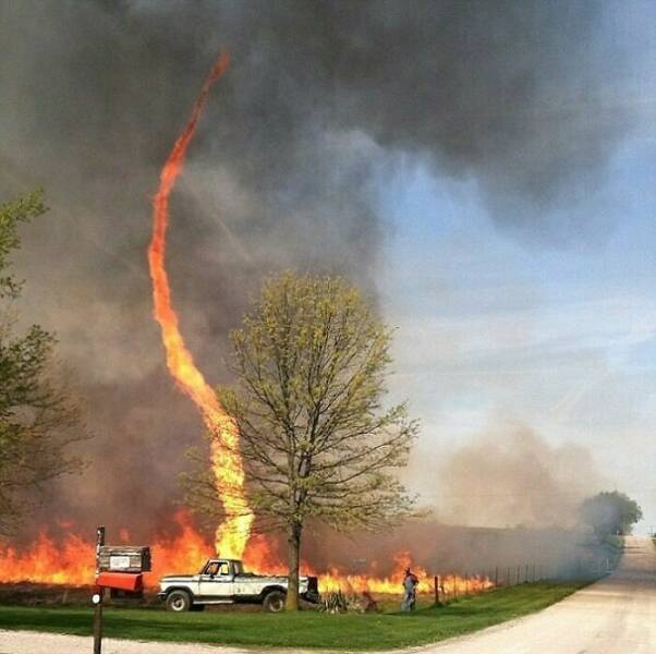 Humans And Animals Standing Strong Against Nature