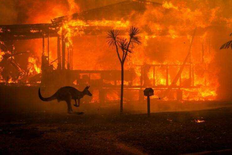 Humans And Animals Standing Strong Against Nature